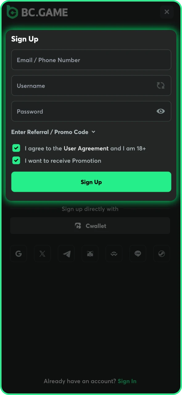 Register the BC Game account by entering your personal details.